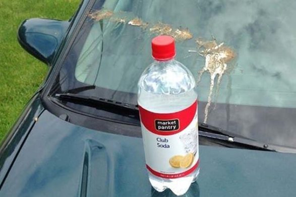 a bottle of club soda sits on the hood of a car with bird poop on the windshield behind the bottle