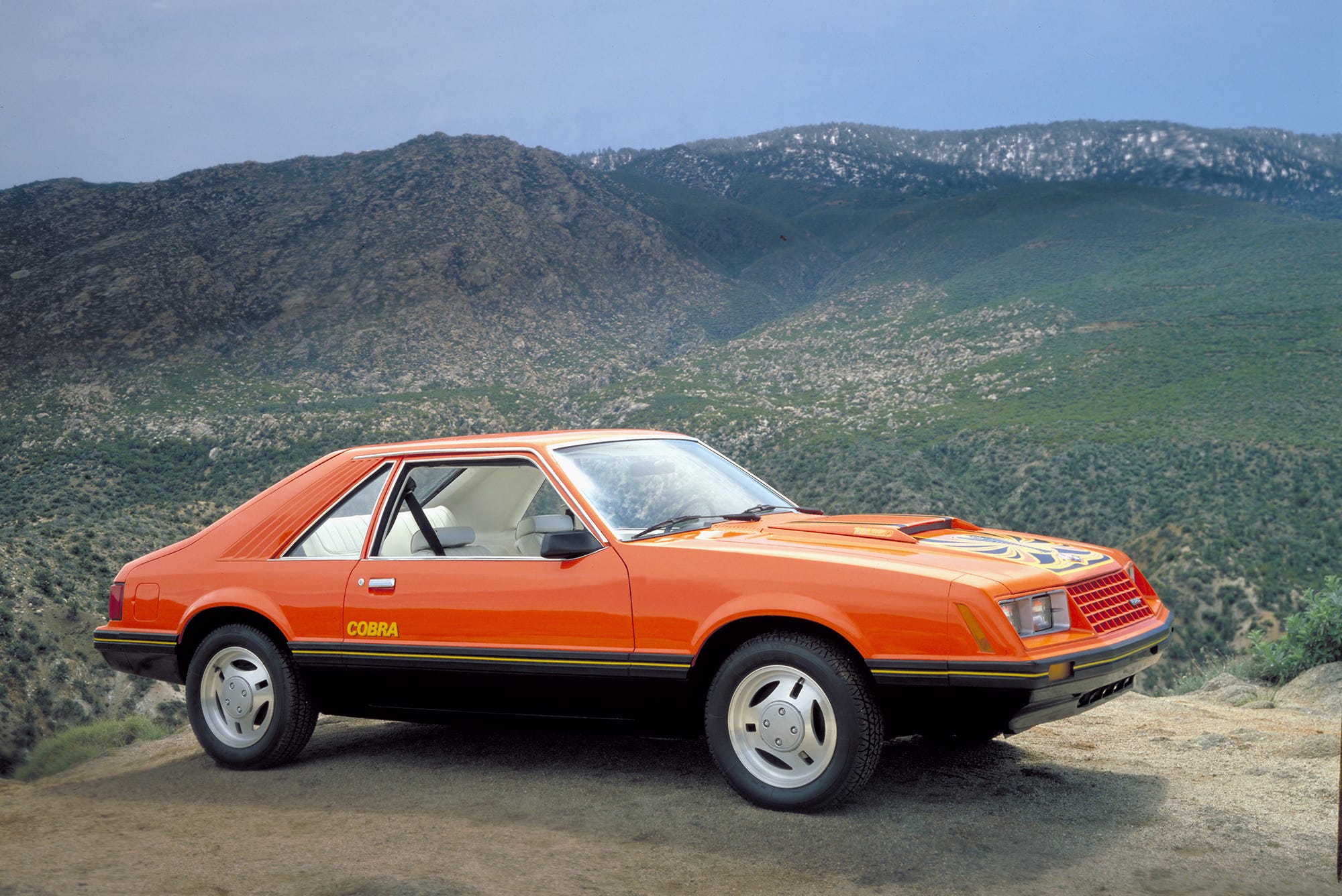 the production 1979 mustang cobra